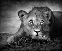 20150301_IMGSK_61475311