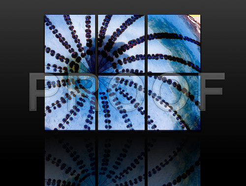 POLYPTYCH_BLUE_OBJECT_20080905_DVD26_DG_USA_Miami_to_LA_5091.tif