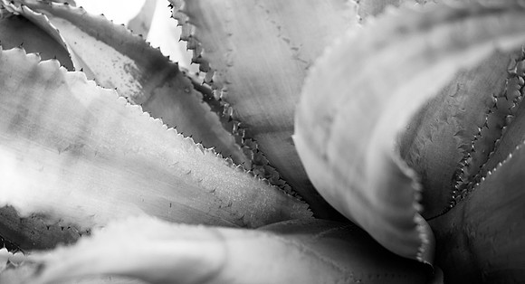 BW.52X96_13012008~ZV4N4146