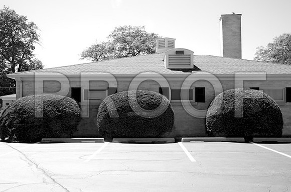 3bushesfuneral_prt