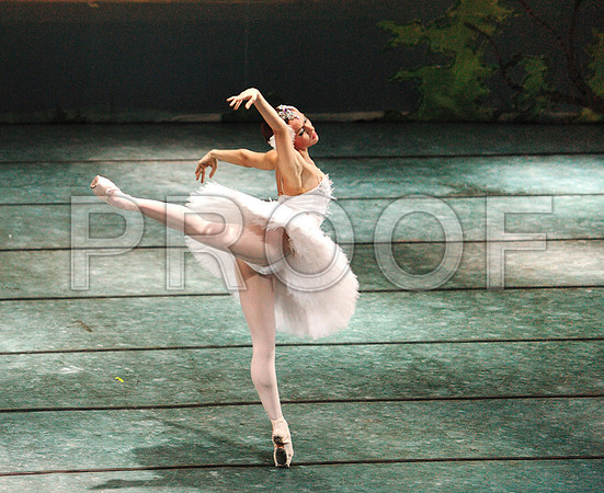 20101127_STT_Custom_64720489